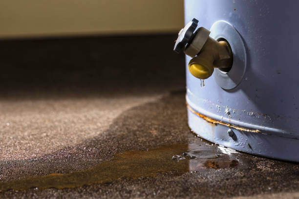 Best Professional water damage repair  in Lancaster, WI