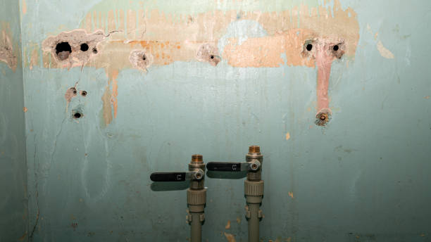 Best Residential water damage restoration  in Lancaster, WI