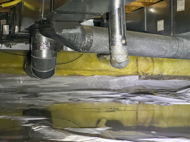 Best Ceiling water damage repair  in Lancaster, WI