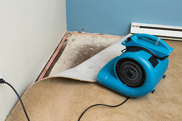 Best Emergency water damage restoration  in Lancaster, WI